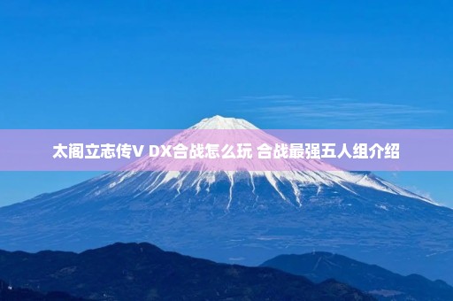 太阁立志传V DX合战怎么玩 合战最强五人组介绍